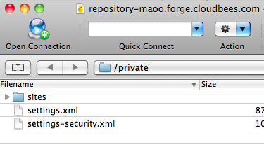 Cloudbees Private Repo WebDAV access